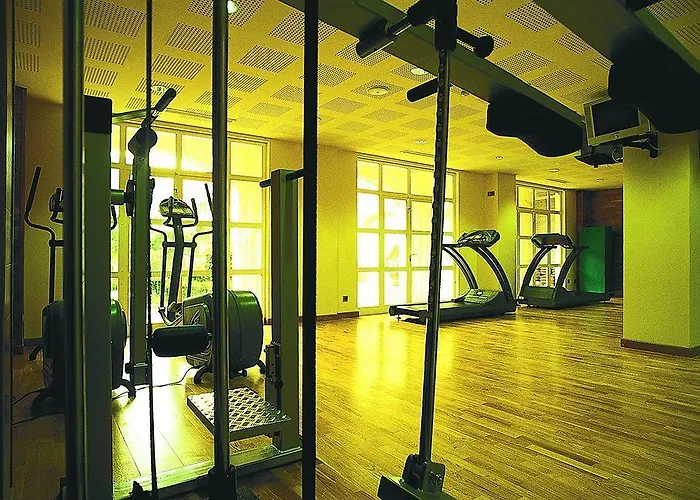 Anjana Puente Viesgo